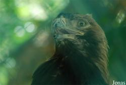 Grădina Zoologică Bucuresti