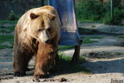 Zoo Brasov