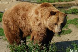 Zoo Brasov
