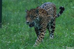 Grădina Zoologică Sibiu