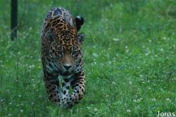 Grădina Zoologică Sibiu