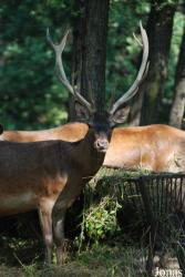 Grădina Zoologică Râmnicu Vâlcea