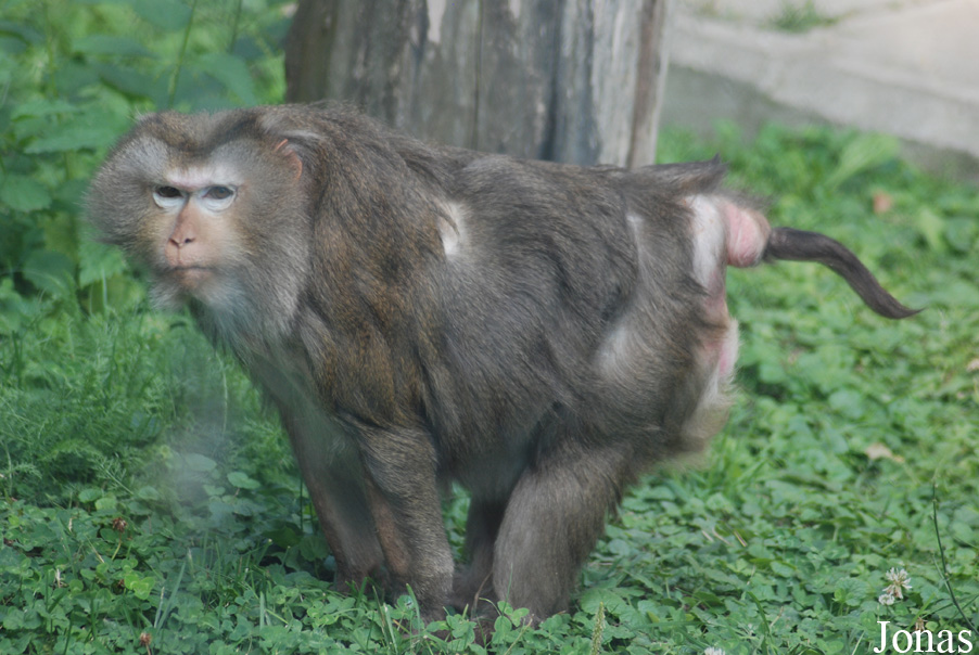 Gradina Zoologica Targoviste