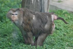 Gradina Zoologica Targoviste