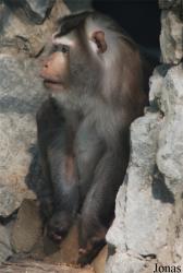 Gradina Zoologica Targoviste