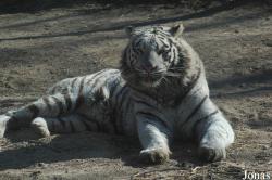 Badaling Safari World