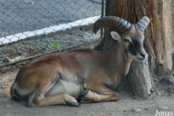 Gradina Zoologica Targoviste