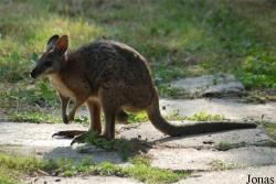 Gradina Zoologica Targoviste