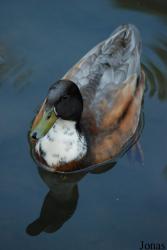 Zoologická zahrada Liberec
