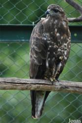 Grădina Zoologică Sibiu