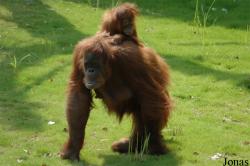 Zoo d'Amnéville
