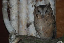 Miejski Ogród Zoologiczny w Płocku