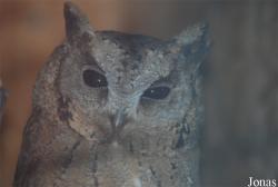 Miejski Ogród Zoologiczny w Płocku
