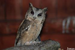 Miejski Ogród Zoologiczny w Płocku