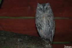 Miejski Ogród Zoologiczny w Płocku
