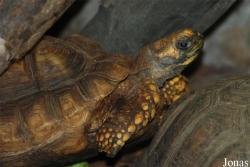 Miejski Ogród Zoologiczny w Płocku