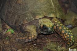 Miejski Ogród Zoologiczny w Płocku