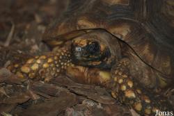 Miejski Ogród Zoologiczny w Płocku