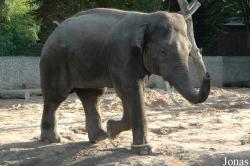 Miejski Ogród Zoologiczny w Płocku