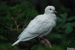 Miejski Ogród Zoologiczny w Warszawie