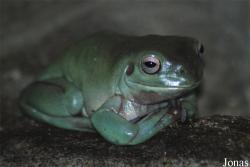 Miejski Ogród Zoologiczny w Warszawie