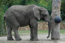 Miejski Ogród Zoologiczny w Warszawie