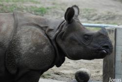 Miejski Ogród Zoologiczny w Warszawie