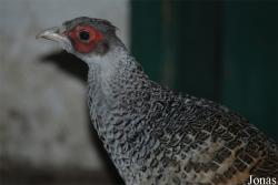 Miejski Ogród Zoologiczny