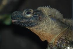 Ogród Zoologiczny w Krakowie