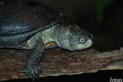 Ogród Zoologiczny w Krakowie