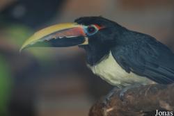 Ogród Zoologiczny Opole