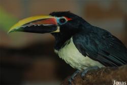 Ogród Zoologiczny Opole