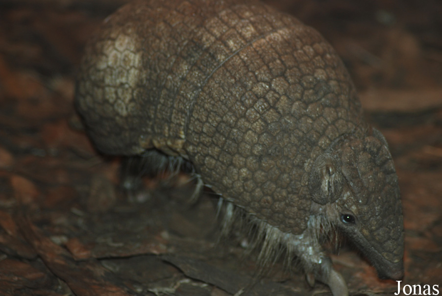 Miejski Ogród Zoologiczny we Wrocławiu