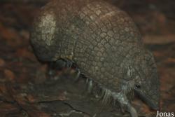 Miejski Ogród Zoologiczny we Wrocławiu