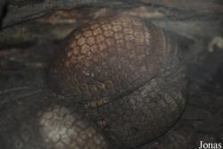 Miejski Ogród Zoologiczny we Wrocławiu