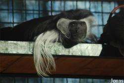 Miejski Ogród Zoologiczny we Wrocławiu