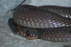 Miejski Ogród Zoologiczny we Wrocławiu