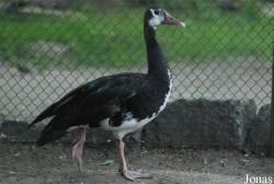 Miejski Ogród Zoologiczny we Wrocławiu