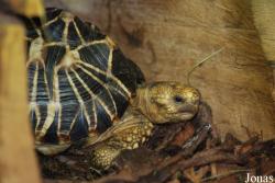 Miejski Ogród Zoologiczny we Wrocławiu