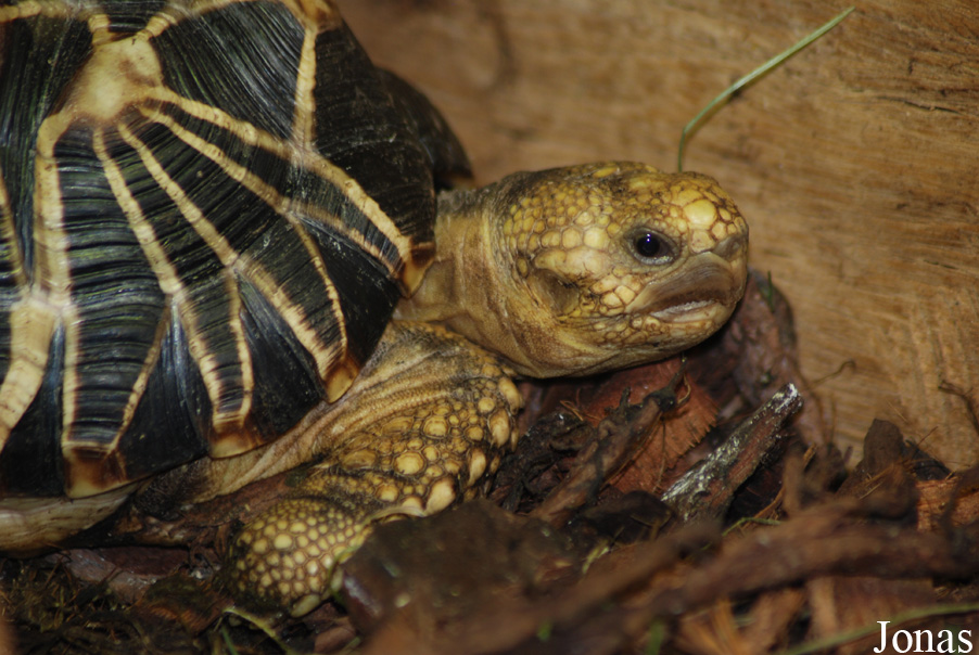 Miejski Ogród Zoologiczny we Wrocławiu