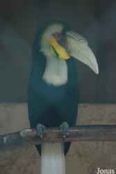 Jardin d'Oiseaux Tropicaux