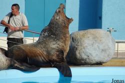 Marineland d'Antibes