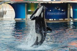 Marineland d'Antibes