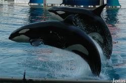 Marineland d'Antibes