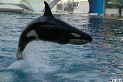 Marineland d'Antibes