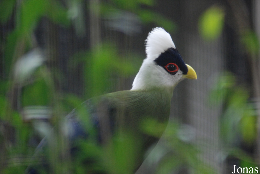 Zoo Antwerpen