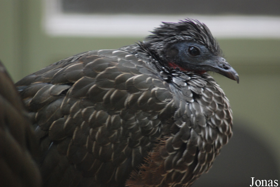 Zoo Antwerpen