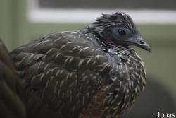 Zoo Antwerpen