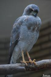 Zoo Antwerpen
