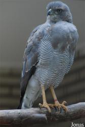 Zoo Antwerpen